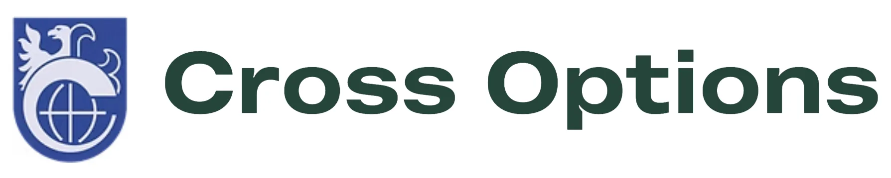 Cross Options Logo